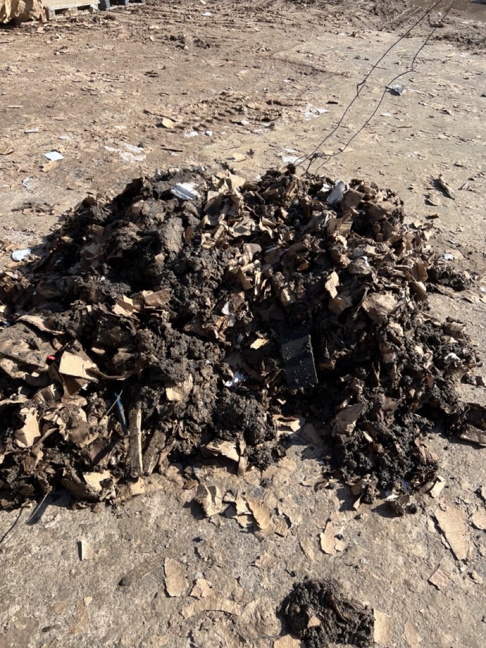 Rotted cardboard mixed into soil forming a slippery layer across a commercial yard surface